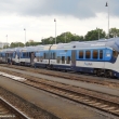Regioshark v Domalicch