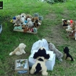 svatba jako z poh�dky