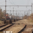 Z 8 kolej zbyli jen 4