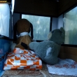 rosaura torn�dov� ve filmu 2 - stan
