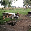 prvn� stanova�ka - opejk�n� b��t�