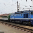 brejlovec v Plzni s osob�kem na Doma�lice