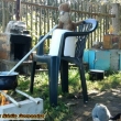 zam�chat