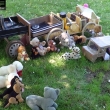 se�lost se p�ipravuje na �tok