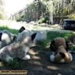 rozfouk�me to