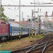 Brejlovec s p�r vagonama