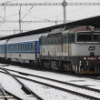 Zelen� brejlovec se Z�padn�m expresem v Plzni