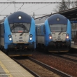 Syslov� v Rokycanech
