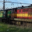 �ada kocour�