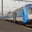 Sysel s patr�kama v Beroun�