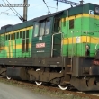 D Cargo kocour zelen