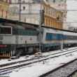 Brejlovec pivezl neschopnho Herkulese se Zpadnm Expresem