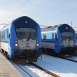 Syslov� v Plzni