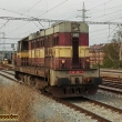 Kocour D Cargo v Plzni