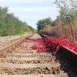 Tra� Plze� - Chr�st 2021