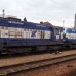 Kocou�i Chl�dek a Tint�ra v Rokycanech