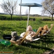 pohodka jak svi�
