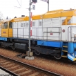 Takov�hle kocoury jsem vid�l prvn�